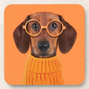 Kutest Baby Animals Dachshund Oranje Sweater Bier Onderzetter