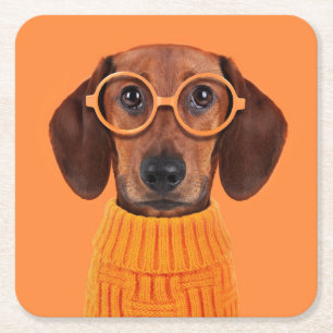 Kutest Baby Animals   Dachshund Oranje Sweater Vierkante Kartonnen Onderzetter