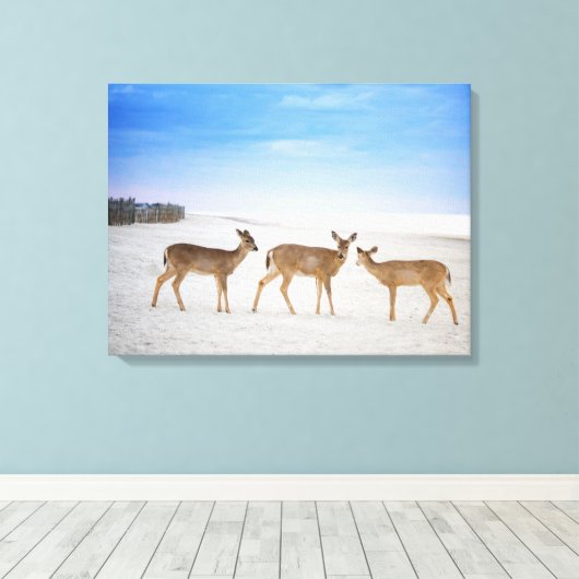 Kutest Baby Animals | Deer bij de strand Canvas Afdruk (Insitu (Houten vloer))