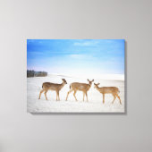 Kutest Baby Animals | Deer bij de strand Canvas Afdruk (Voorkant)