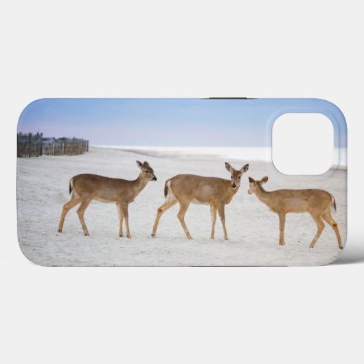 Kutest Baby Animals | Deer bij de strand Case-Mate iPhone Case (Achterkant (horizontaal))