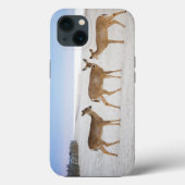 Kutest Baby Animals | Deer bij de strand Case-Mate iPhone Case (Achterkant)