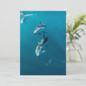 Kutest Baby Animals | Dolfijnenfamilie Bedankkaart (Staand voorkant)