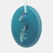 Kutest Baby Animals | Dolfijnenfamilie Glas Ornament (Voorkant links)