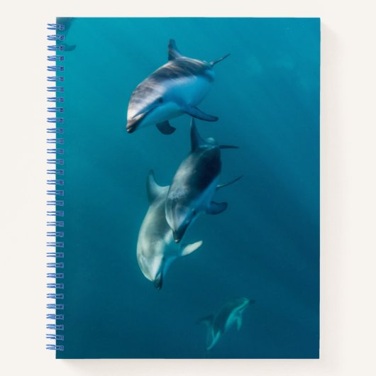 Kutest Baby Animals | Dolfijnenfamilie Notitieboek (Voorkant)
