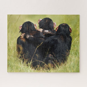 Kutest Baby Animals   Drie Chimpansees Hugging Legpuzzel