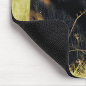 Kutest Baby Animals | Drie Chimpansees Hugging Muismat (Hoek)