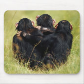Kutest Baby Animals | Drie Chimpansees Hugging Muismat (Voorkant)