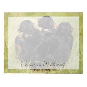 Kutest Baby Animals Drie Chimpansees Hugging Notitieblok