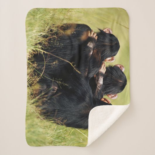Kutest Baby Animals | Drie Chimpansees Hugging Sherpa Deken (Voorkant)