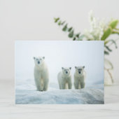 Kutest Baby Animals | Drie jonge Polar-Beren Bedankkaart (Staand voorkant)