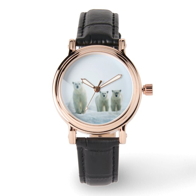 Kutest Baby Animals | Drie jonge Polar-Beren Horloge (Voorkant)