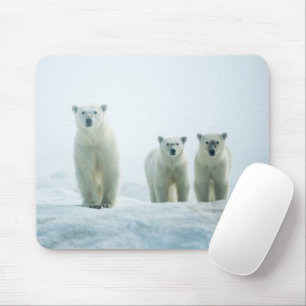 Kutest Baby Animals   Drie jonge Polar-Beren Muismat
