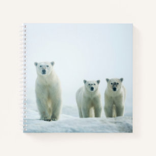 Kutest Baby Animals Drie jonge Polar-Beren Notitieboek