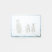 Kutest Baby Animals | Drie jonge Polar-Beren Post-it® Notes (Voorkant)