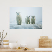 Kutest Baby Animals | Drie jonge Polar-Beren Poster (Keuken)