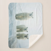 Kutest Baby Animals | Drie jonge Polar-Beren Sherpa Deken (Voorkant)