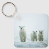 Kutest Baby Animals | Drie jonge Polar-Beren Sleutelhanger (Voorkant)