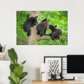Kutest Baby Animals | Drie jonge zwarte Beren kubu Poster (Thuiskantoor)