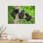 Kutest Baby Animals | Drie jonge zwarte Beren kubu Poster (Keuken)