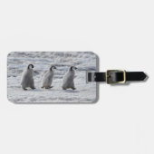 Kutest Baby Animals | Drie keizerhaaien Bagagelabel (Voorkant horizontaal)