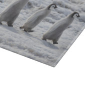 Kutest Baby Animals | Drie keizerhaaien Snijplank (Hoek)