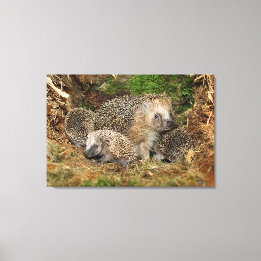 Kutest Baby Animals | Eelfamilie Canvas Afdruk (Voorkant)