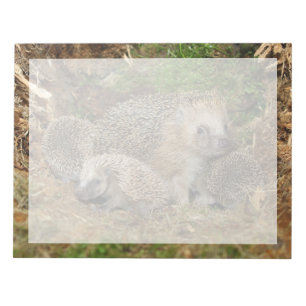 Kutest Baby Animals Eelfamilie Notitieblok
