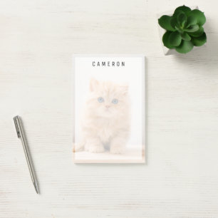 Kutest Baby Animals Een Britse Longhair Kitten Post-it® Notes