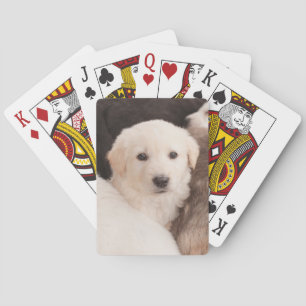 Kutest Baby Animals Een klapstapel Puppies Pokerkaarten