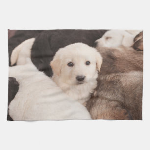 Kutest Baby Animals Een klapstapel Puppies Theedoek