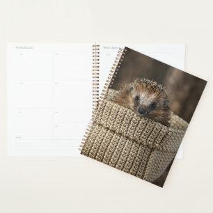 Kutest Baby Animals   Egel in een mand Planner