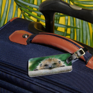 Kutest Baby Animals Egel Smile Bagagelabel