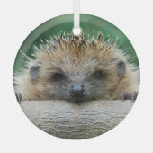 Kutest Baby Animals | Egel Smile Glas Ornament (Voorkant)