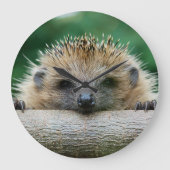 Kutest Baby Animals | Egel Smile Grote Klok (Voorkant)