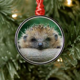 Kutest Baby Animals Egel Smile Metalen Ornament