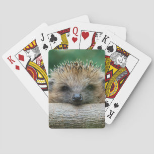Kutest Baby Animals Egel Smile Pokerkaarten