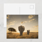 Kutest Baby Animals | Elephant Calf en moeder Briefkaart (Voorkant / Achterkant)