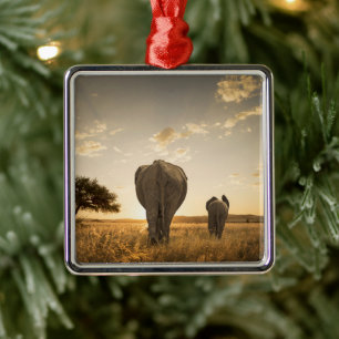 Kutest Baby Animals   Elephant Calf en moeder Metalen Ornament