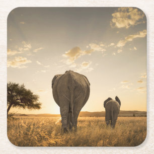 Kutest Baby Animals   Elephant Calf en moeder Vierkante Kartonnen Onderzetter