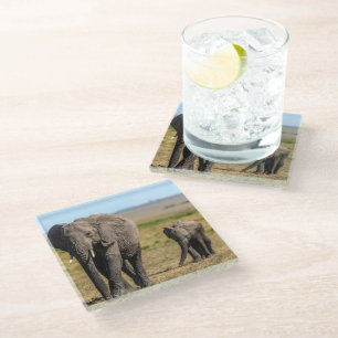 Kutest Baby Animals Elephant Moeder & Baby Glazen Onderzetter