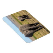 Kutest Baby Animals | Elephant Moeder & Baby Magneet (Rechterzijde)