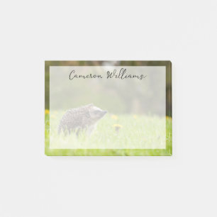 Kutest Baby Animals   Europese egel Post-it® Notes