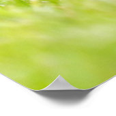 Kutest Baby Animals | Europese egel Poster (Hoek)