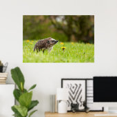 Kutest Baby Animals | Europese egel Poster (Thuiskantoor)
