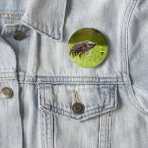 Kutest Baby Animals Europese egel Ronde Button 5,7 Cm
