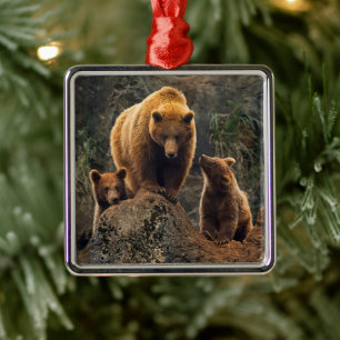 Kutest Baby Animals Familie bruin Beer Metalen Ornament