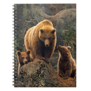 Kutest Baby Animals Familie bruin Beer Notitieboek