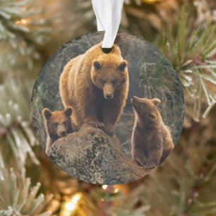 Kutest Baby Animals Familie bruin Beer Ornament