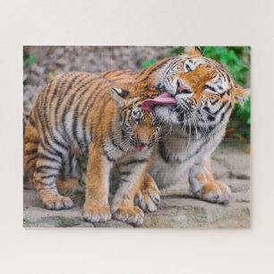 Kutest Baby Animals   Familie Siberië Tiger Legpuzzel